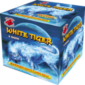White Tiger