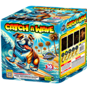 Catch A Wave