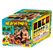 Beach Party
