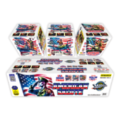 American Salute Case